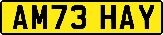 AM73HAY