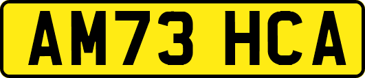 AM73HCA