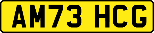 AM73HCG