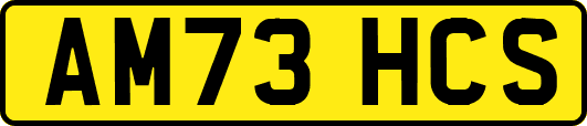 AM73HCS