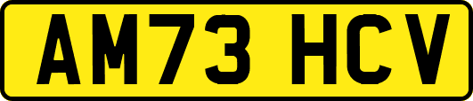 AM73HCV