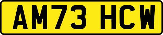 AM73HCW
