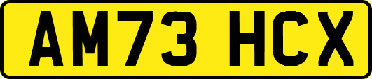 AM73HCX