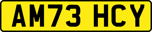 AM73HCY