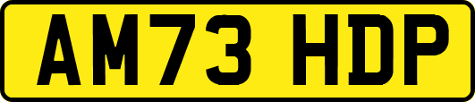 AM73HDP