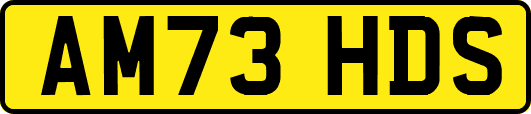 AM73HDS