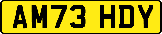 AM73HDY