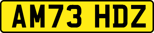 AM73HDZ