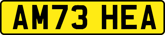 AM73HEA