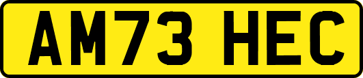 AM73HEC