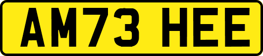AM73HEE