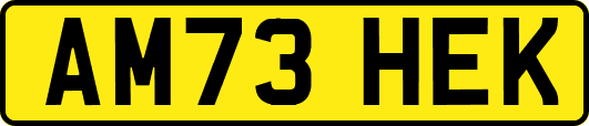 AM73HEK