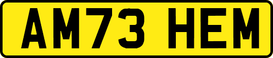 AM73HEM