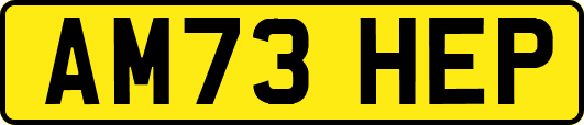 AM73HEP