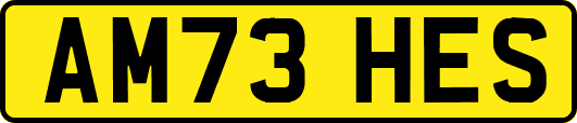 AM73HES