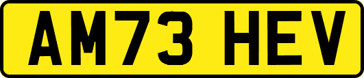 AM73HEV