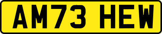 AM73HEW