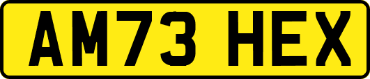 AM73HEX