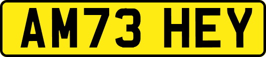AM73HEY