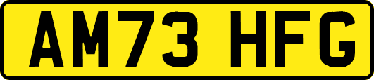 AM73HFG