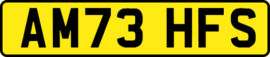 AM73HFS