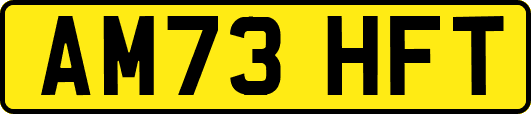 AM73HFT