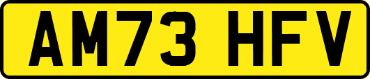 AM73HFV