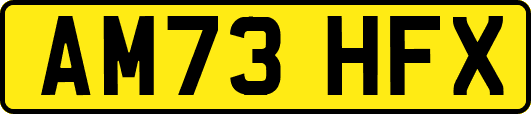 AM73HFX