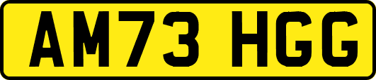 AM73HGG