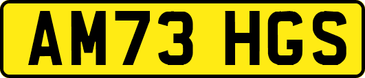 AM73HGS