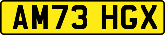 AM73HGX