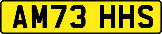 AM73HHS