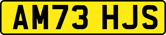 AM73HJS