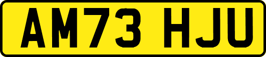 AM73HJU