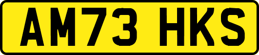 AM73HKS
