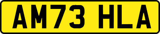 AM73HLA