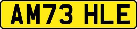AM73HLE