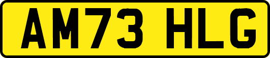 AM73HLG