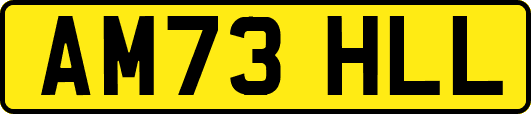 AM73HLL