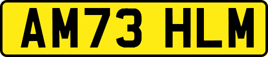 AM73HLM
