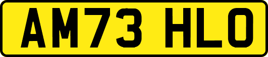 AM73HLO