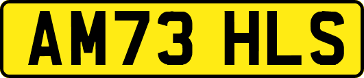 AM73HLS