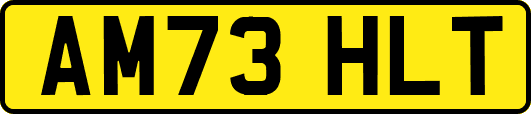 AM73HLT