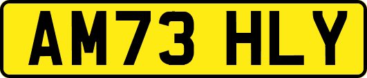 AM73HLY
