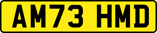 AM73HMD