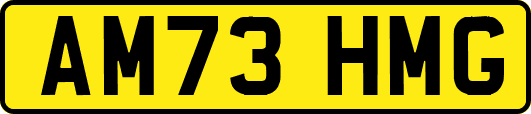 AM73HMG