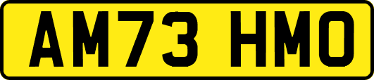 AM73HMO