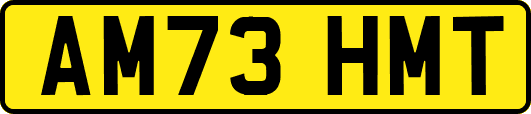 AM73HMT
