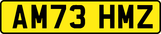 AM73HMZ