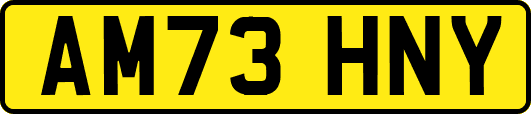 AM73HNY